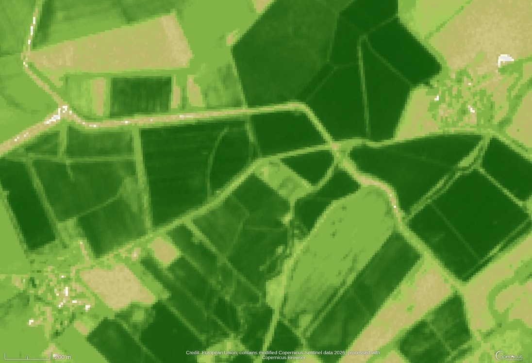 Sentinel-2 NDVI output over agricultural parcels