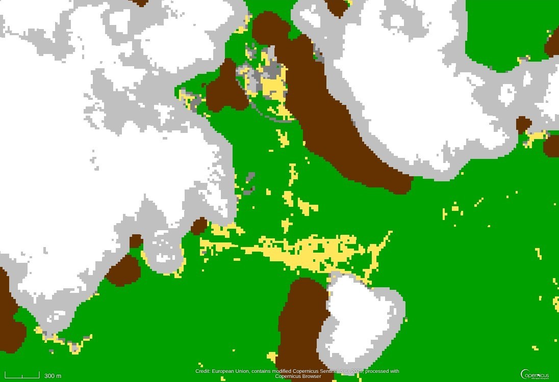 Sentinel-2 scene classification map